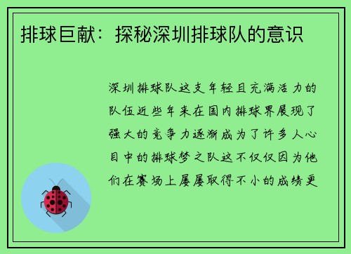 排球巨献：探秘深圳排球队的意识