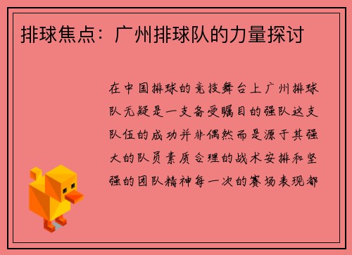 排球焦点：广州排球队的力量探讨